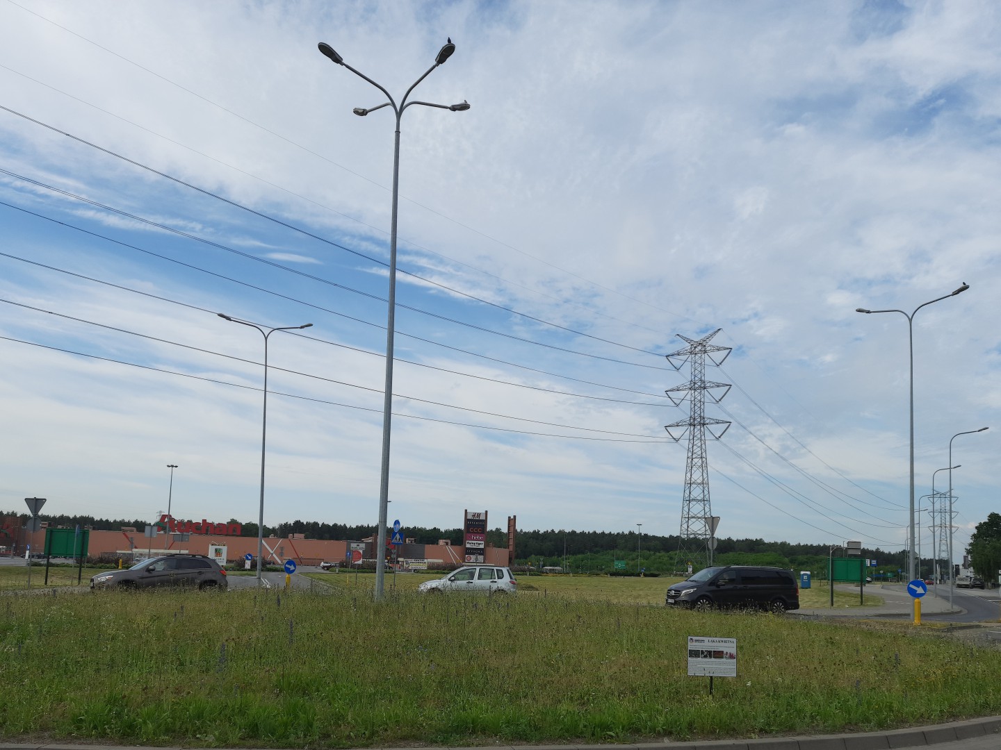 Łąka kwietna przy Brukowej